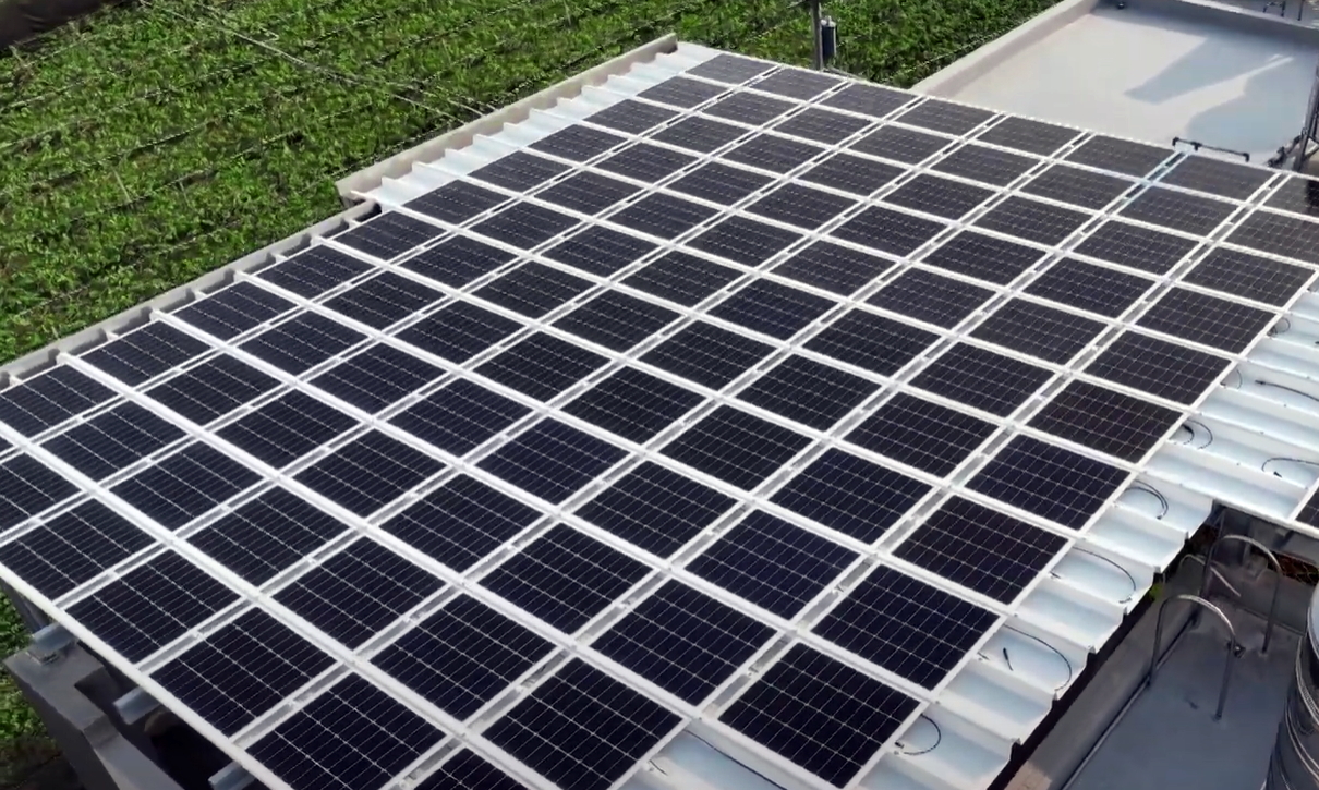 88BIFASunSteel光電浪板升級雙玻結構，以提升機械負載強度及氣候耐候度，可廣泛運用於多元場域